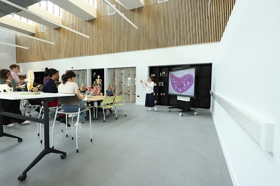 Students studying in the University of Worcester Medical School