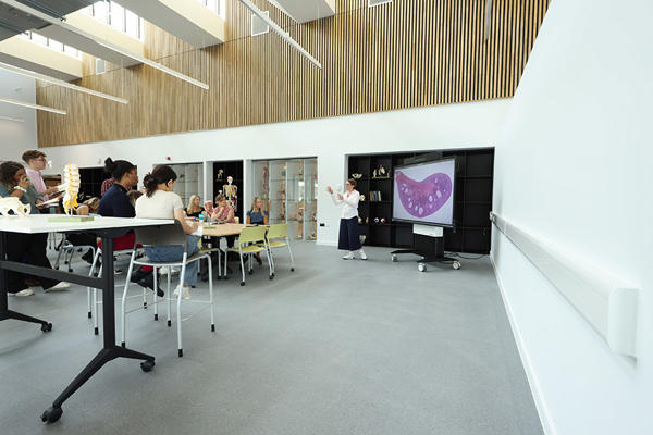 Students studying in the University of Worcester Medical School