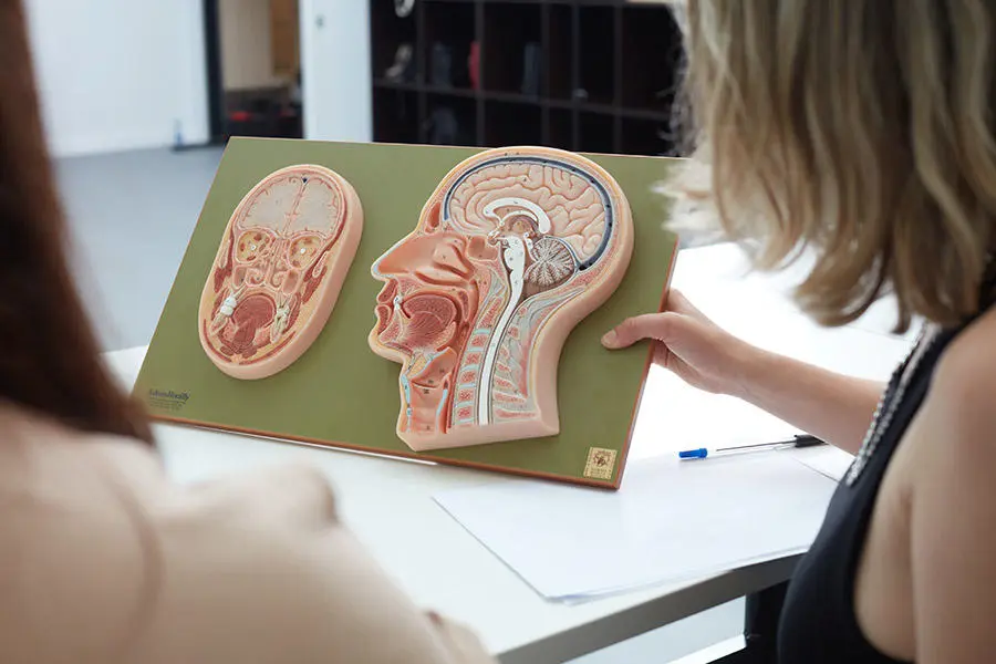 Students studying in the University of Worcester Medical School