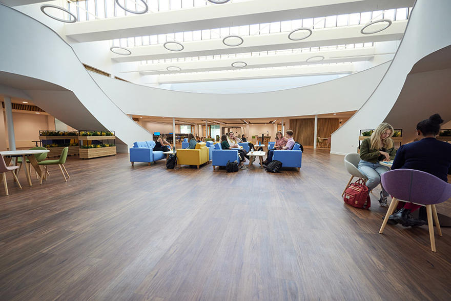 Students studying in the University of Worcester Medical School