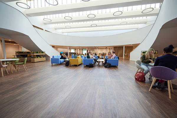 Students studying in the University of Worcester Medical School
