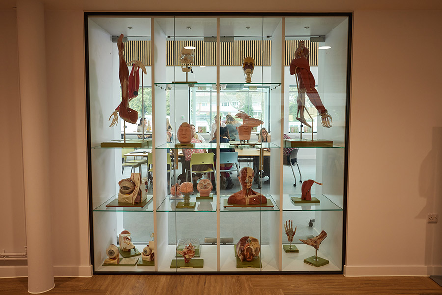 Students studying in the University of Worcester Medical School