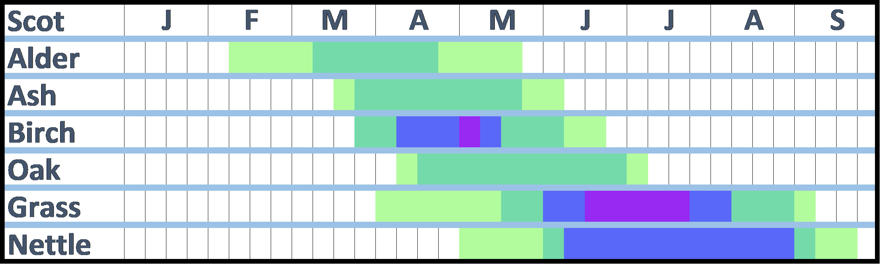 pollen calendar for Scotland. The Information shown on this calendar is written in the accompanying text.