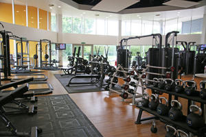Gym equipment
