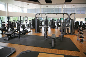 Gym equipment