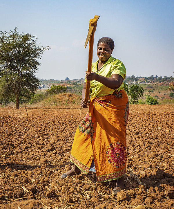 woman using toil for soil agriculture