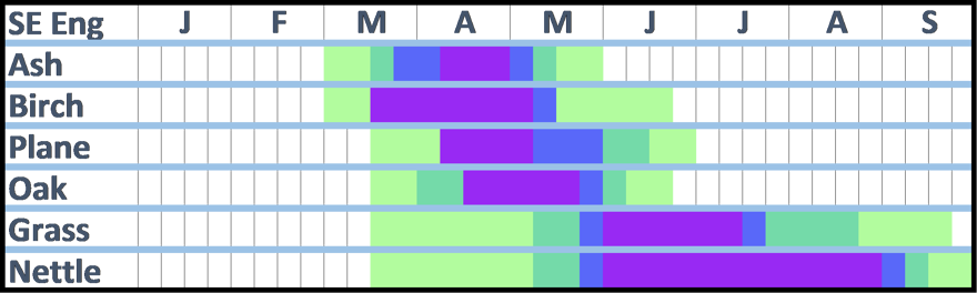 A pollen calendar for Southeast England. The information for this diagram is written int he text that accompanies it.