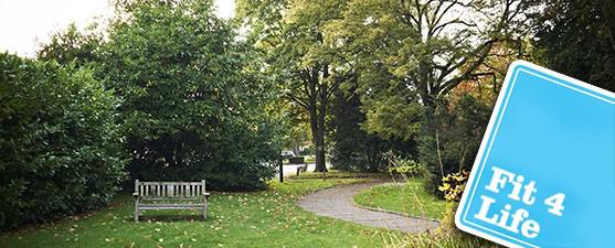 Photo of a green space and a bench with an overlay