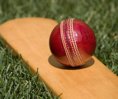 Cricket Bat and Ball - ui card