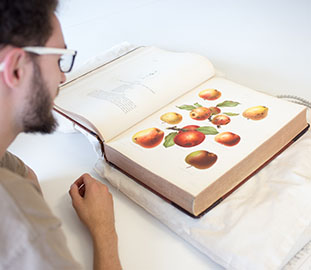 student reading from a page filled with images of fruit